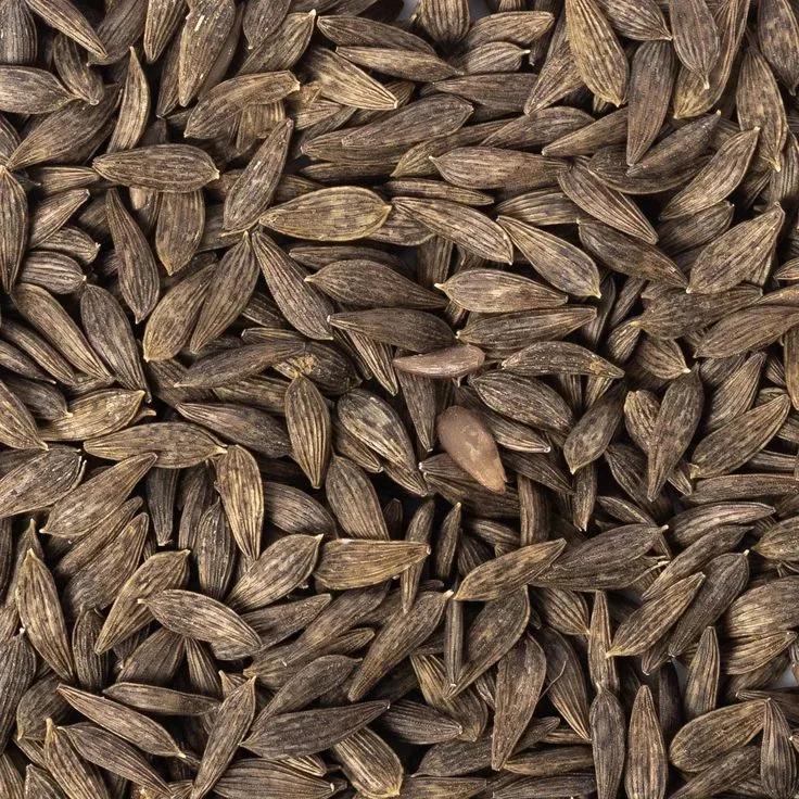 Crisp Lettuce Seeds